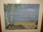 Twee berken in de heide